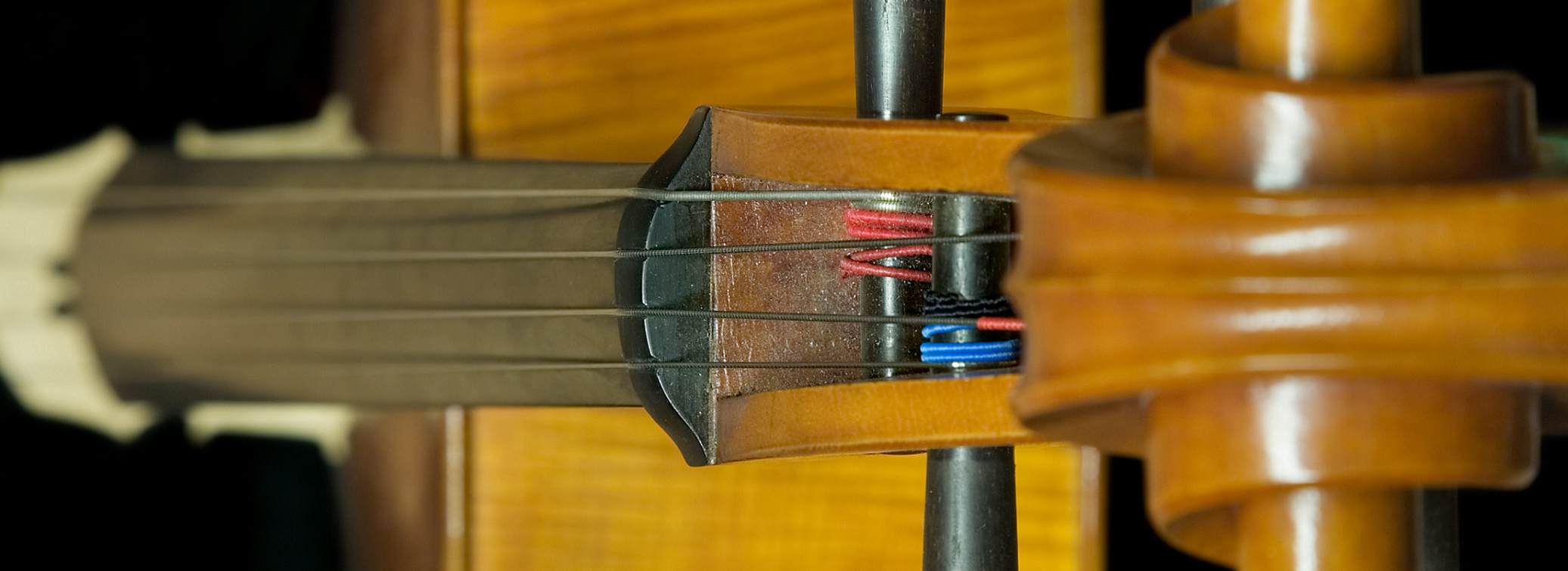 Orchestral String Lessons