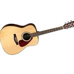 Acoustic Guitar