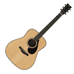 Acoustic Guitar