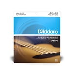 D'Addario EPBB170 Phosphor Bronze Acoustic Bass