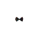 Multicolor Notes Bow Tie