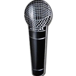 Microphone Pin