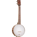 Gold Tone BUT Tenor-Scale Banjo Ukulele w/ Case