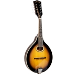 Gold Tone GM-50+ A-Style Mandolin w/ Pickup & Bag "A" Style