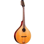 Gold Tone OM-800+ Octave Mandolin w/ Case