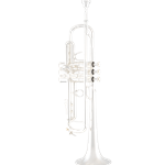 Bach 180S43 Professional "Stradivarius" Trumpet