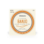 D'Addario EJ61 5-String Banjo - Nickel Medium 10 - 23