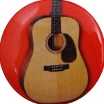 Acoustic Guitar Pin
