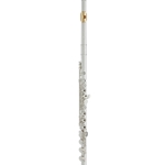 Yamaha YFL-462H/LPGP Intermediate Flute - Gold Plated Lip Plate B-Footjoint