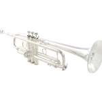 Bach LR180S72 Professional "stradivarius" Trumpet - Lightweight, Reverse Leadpipe