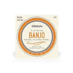 D'Addario EJ61 5-String Banjo