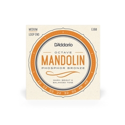 D'Addario EJ80 Octave Mandolin Set Medium