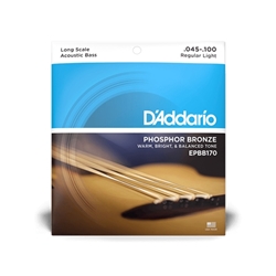 D'Addario EPBB170 Phosphor Bronze Acoustic Bass