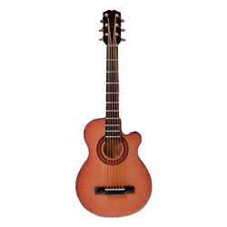 Acoustic Cutaway Guitar Magnet