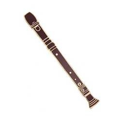 Recorder Pin