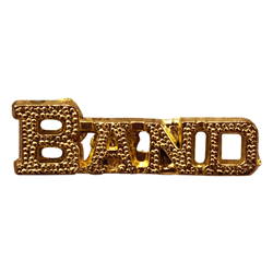 Band Pin