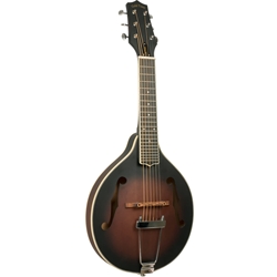 Gold Tone A-6 Mando-Guitar w/Gig Bag "A" Style