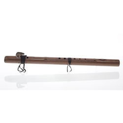High Spirits 111-W Condor Bass - Walnut - Bm