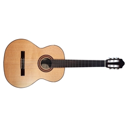 Kremona F65C Fiesta Soloist w/ Bag