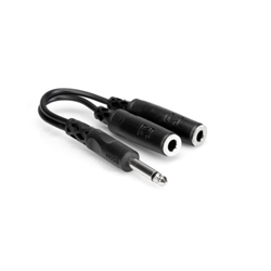 Hosa Y Cable
 - 1/4 in TS to Dual 1/4 in TSF