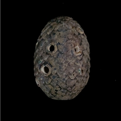 Songbird Ocarina - Dragon Egg 9 Holes