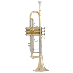 Bach 18037 Professional "Stradivarius" Trumpet