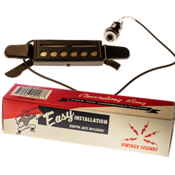 Recording King RC-GFP-1 Gold Foil Soundhole Pickup