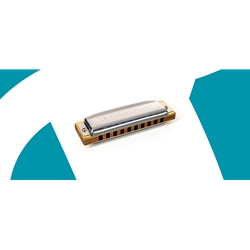 Hohner Blues Harp Harmonica 10 Holes