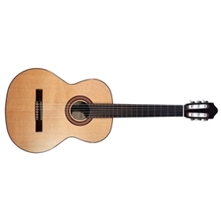 Kremona F65C Fiesta Soloist w/ Bag