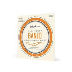 D'Addario EJ63I Irish Tenor Banjo - Nickel Medium - 12-36