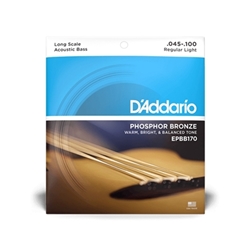 D'Addario EPBB170 Phosphor Bronze Acoustic BassD'Addario EPBB170 Phosphor Bronze Acoustic Bass
