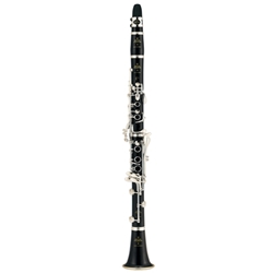 Buffet BC1102C-2-0 E13 Professional Clarinet Bb