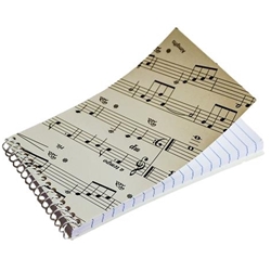 Music Notes Notebook