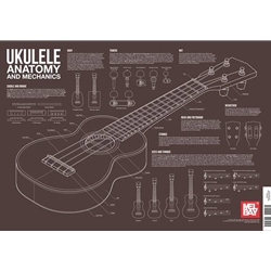 Ukulele Anatomy and Mechanics Poster -